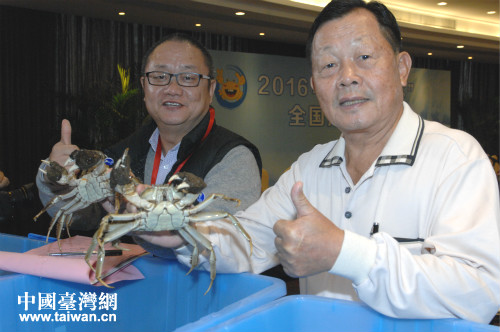 苗栗縣原縣長劉政鴻(右)作為評審專家前來參加優(yōu)質(zhì)大閘蟹評比活動 苗栗縣原縣長劉政鴻(右)作為評審專家前來參加優(yōu)質(zhì)大閘蟹評比活動