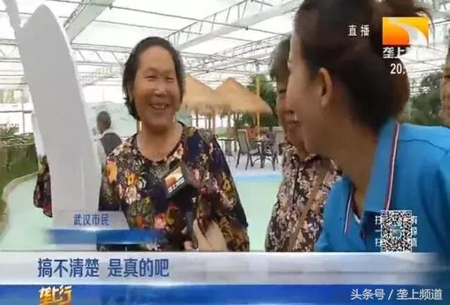 農業嘉年華在武漢開幕:這是一場農民的狂歡 農業嘉年華在武漢開幕:這是一場農民的狂歡