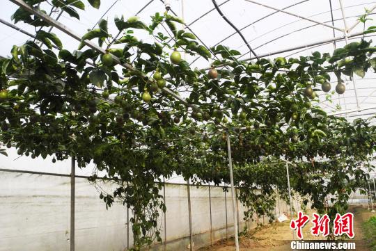 �_���F(xi��n)���r�I(y��)���F�ݡ�ġ����