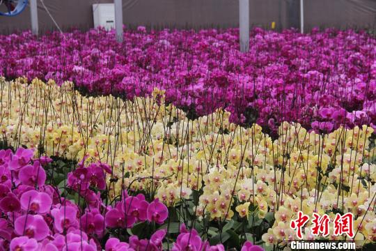 ̽�L�F��ɽ��ġ��_���塱