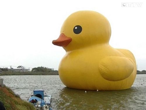 �_���҈@���S����ɳ��26�տ���ʽ�c�ο�Ҋ��