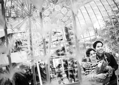 �N��(li��n)���ű�����ζ��Խ�ɰ��ĵ�