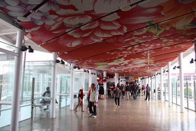 ���_(t��i)�F��Ư��܇վ������������ͼ��L(f��ng)���D��