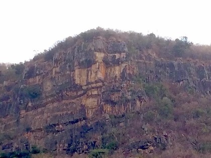 �����������x��ɽ������Ę����������Ҋ�������_ý