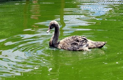 �_(t��i)���δ�ɹ����������Z�ɐ�(��i)ģ�ӳ��������D��