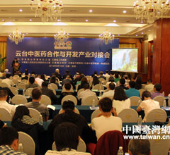 ���_���t�a�I���ӕ��e��