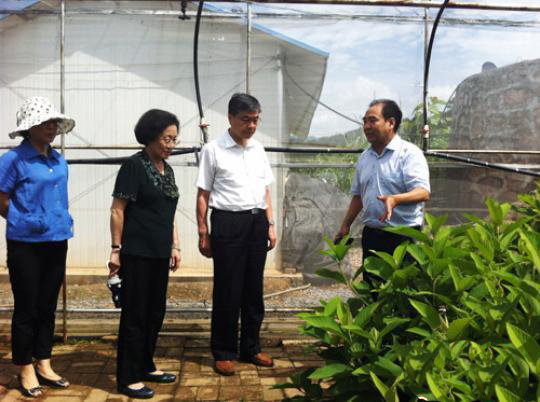 �������һ�����L����