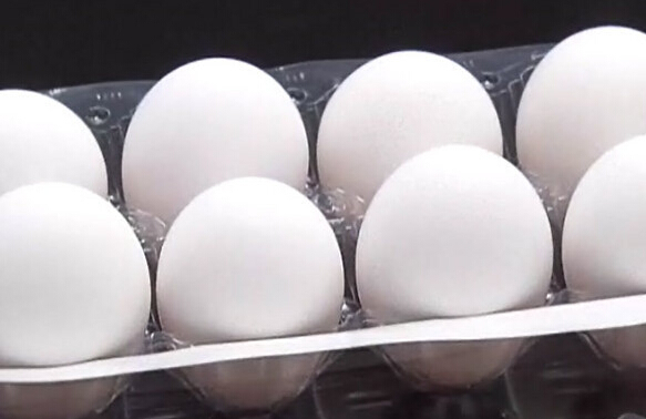 �_���ߜ؟����u�����r�j�������~������F��Ʒ�����_ý�D��