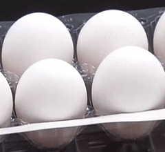 �_���ߜ؟����u�����r�j��