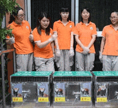 ���ٛ(z��ng)�_С��؈���g�g���������_��