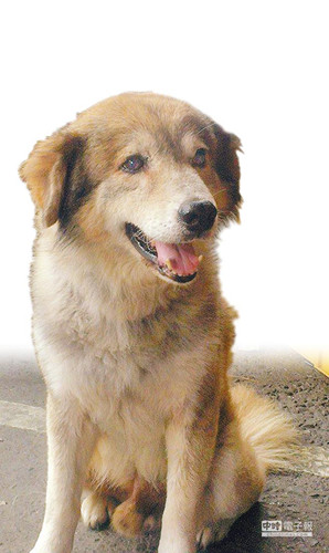 ���յ�����굫���\(y��n)�ػ����ˑѱ��ġ��q�q�������Еr(sh��)��ӈ�(b��o)���D