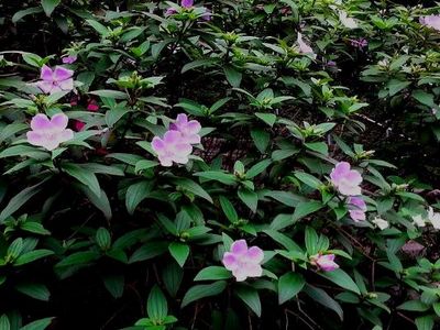 Ұĵ���鲼�_���G����ݔ�����������D��