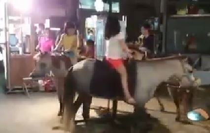 �_�����Aҹ���@Ҋ�����w���Dľ�R���W������̫���������_ý�D��