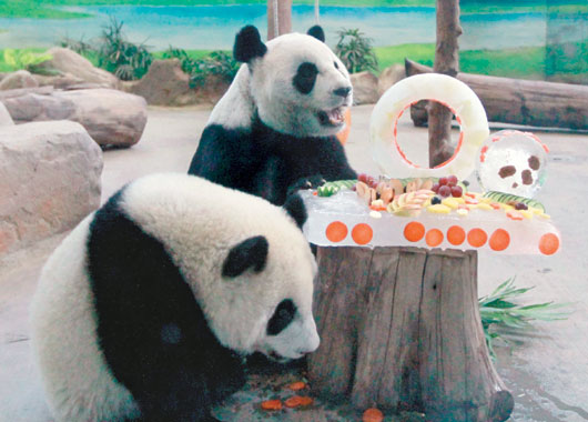 ٛ(z��ng)�_(t��i)����؈�F(tu��n)�F(tu��n)���A�A�^(gu��)10�q���մ�е��⣨�D��