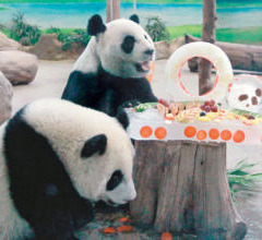 ٛ�_����؈�F�F���A�A�^10�q���մ�е��⣨�D��