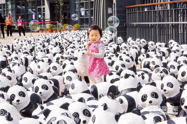 紙熊貓萌嗎 紙熊貓萌嗎