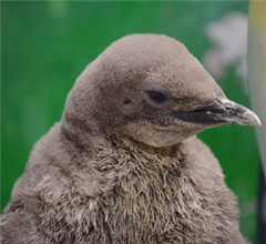 �_������@���Z��������֡�����