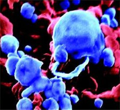 �_���Ĳݝ���ں��B�S���Йz�������в���