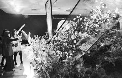 �D���_�����������ˡ��廨ˇ�gչ