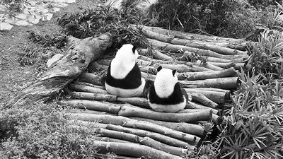 ٛ(z��ng)�_(t��i)����؈�����������A�С��L���ˌW(xu��)��(x��)��(d��)������