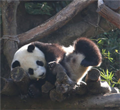 ���A�С������M����