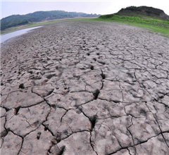 ��ʮ�꺱Ҋ���� �_(t��i)�����(xi��ng)�e�둪(y��ng)��