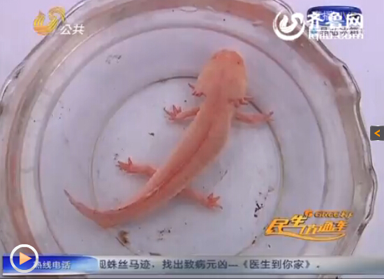 �����~��ȫ��]���[���ʷۼtɫ����ҕ�l�؈D��