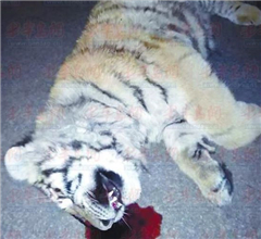 ɽ�|�R·�@�F(xi��n)���ϻ��{(di��o)�飺�ܱ����@�� �ĸߘǉ���