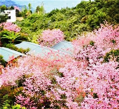 �_�������p����ȥ̎����������_ ���ǻ����_��