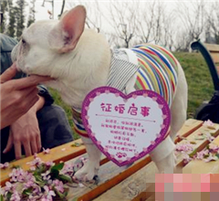 �ɶ��������ȹ������@��������Ó�������^