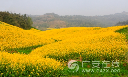 �Ͳ˻��_����ؽ��S ȥ�Ĵ��V���w�(y��n)���`���l(xi��ng)��֮�ã�