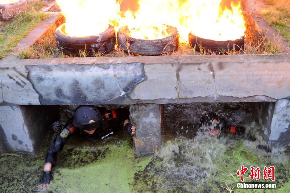 �侯�ؑ����8���_ِ ������ꠚ����Ӗ�x��Ӣ