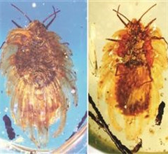 ���x������r�����z���� 1�|��������