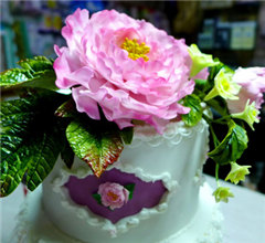 �_(t��i)��W(xu��)����ĵ���ǻ����� ���������������˷Q��