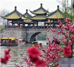 �������g������