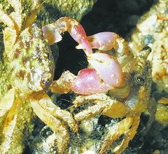 �ɷN���з�Fۙ�_��