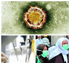 ��������MERS���Б�(y��ng)���A(y��)�� ����:�ɷ��ɿز��ؿֻ�