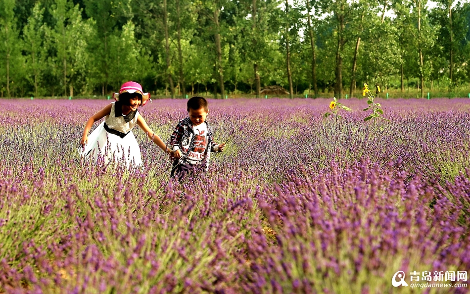 ���u�ٮ�޹���M��ʢ����