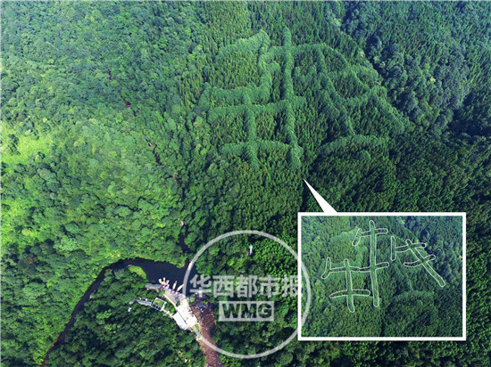 成都山區(qū)現(xiàn)神秘“犇”字形圖案 原因成謎