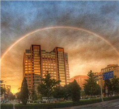 �M�D���������F(xi��n)�ʺ���ϼ �����R������