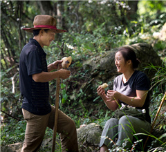 �Ĵ�һ�����[����ɽ18�� ���o(h��)�f��ɭ��