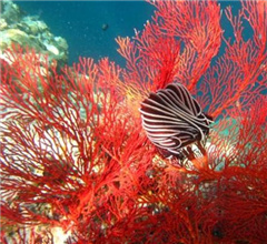 ����һ�F���{3�Ҵ�O���I�ɼtɺ�� ��ֵ��ǧ�f