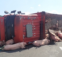 �\�i܇��(c��)�� ���ࡰ�����֡����[����