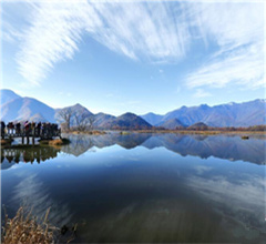 �������r�ܴ�ź������ɫ���箋