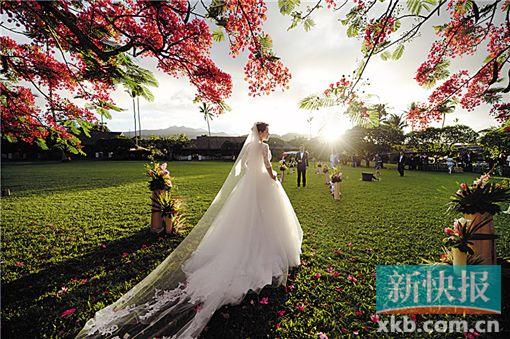 ꑴ�ϲ�@����΢����ϲ��С���JƤ�w��𪣨�D��