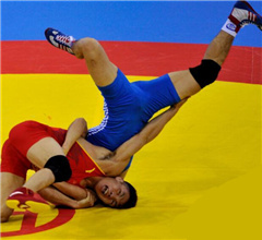 ���\�����Hʽˤ�ӽ��𾫲�����