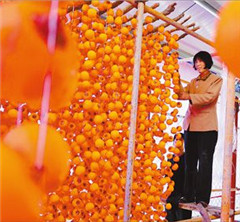 �������Ӽt