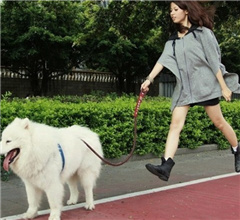 �P�c(di��n)90�����⡱����С��һ�ꮔ(d��ng)23�ΰ���