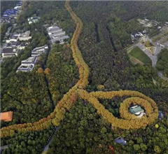 �Ͼ����g�m�F�������朡����^