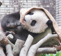 "�A��"���������O�� ���_����߅��߅�泬�ȣ��D��